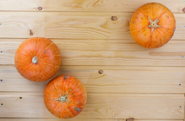 Orange halloween pumpkins on white planks, holiday decoration
