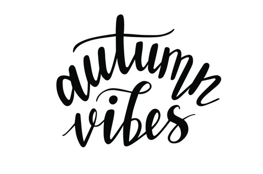 Autumn vibes hand drawn lettering fall, autumn and school season quotes and pharses for cards, banners, posters design. 