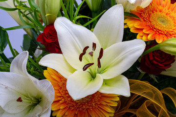 Fototapeta na wymiar A beautiful bouquet of white lilies and orange gerberas