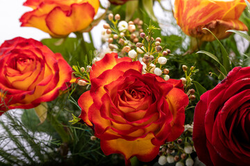 beautiful bouquet of colorful roses