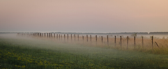 Morning fog in the meadows during sunrise in the countryside. Rural landscape with a fog on the geen field. the fence stretching into the distance.