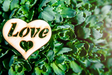 Symbol of love on a green natural background
