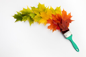 Autumn leaves rainbow colors gradient with paintbrush. Minimal concept.