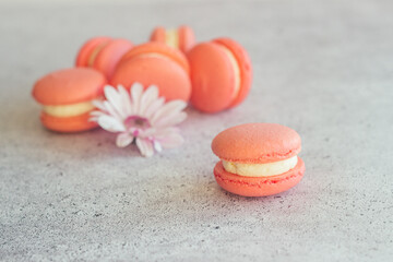 Macaroons. Delicious french desserts. Macaroons on the table. Macaroons with flower