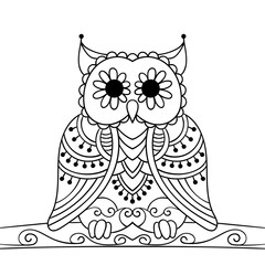 owl