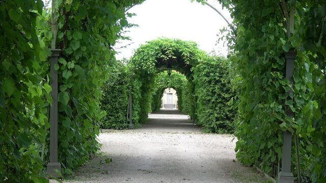 Long beautiful path with pergola in old manor park, Latvia


