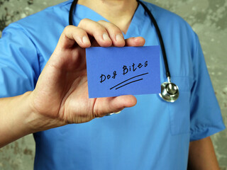 Medical concept meaning Dog Bites  with phrase on the piece of paper.