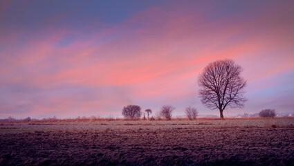 beautiful sunset sky over fields and meadows