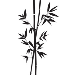 Decorative bamboo branches isolated on white background.