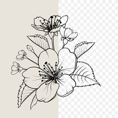 Hand drawn design elements sakura flowers collection. © Kotkoa