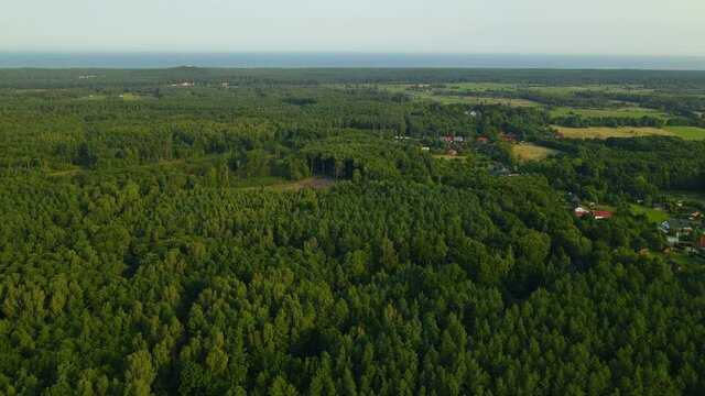 Dense thick flora of Sasino woods Gdansk Poland Europe aerial 