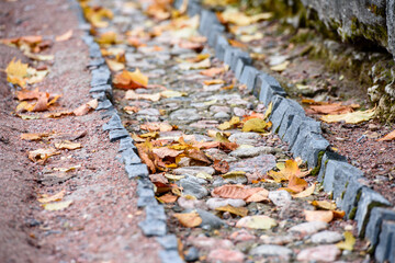 Autumn leaves on the ground in a ditch-beautiful autumn background