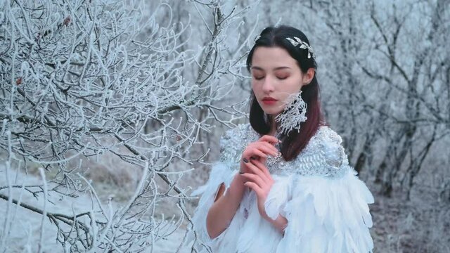Sad young beautiful woman fairy holding freezing ice branch. Brunette girl enjoys silence winter frosty Christmas forest. Pretty face, snow Queen. White wedding dress, bird feather cape. Silver tiara