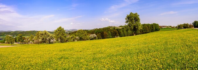 panoramic view of a rural landscape in the austrian region mühlviertel near unterweitersdorf