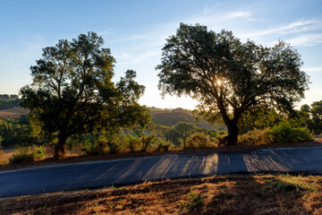 Obraz premium Country road in Costa Serena hills. Corsica island