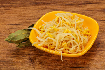Soy sprout heap in the bowl