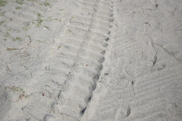 タイヤの跡