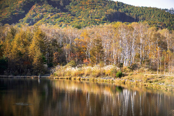 釣り人がいる湖と森の風景／八千穂レイク（長野県八千穂高原）