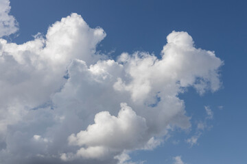 Fototapeta na wymiar fluffy clouds and blue sky background