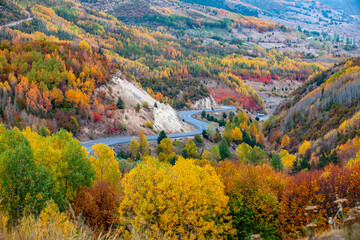 Color beauty of the autumn season