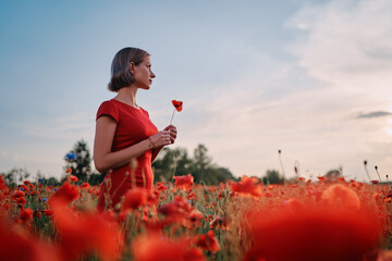 Summertime. Young woman in dress walking on red poppy field.