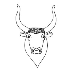 Bull head icon thin line, farm animal concept, cattle sign on white background, bull head silhouette icon in outline style for coloring, mobile concept and web design.
