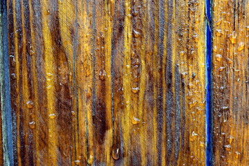 water drops on wooden planks wall
