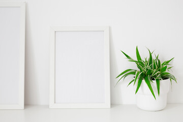 Picture frame and green plant on a table mockup.