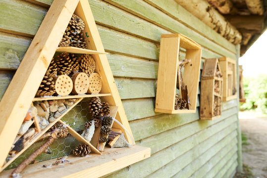 Wooden bug house hanging on a wall