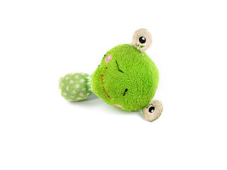 Old dirty Frog doll on white