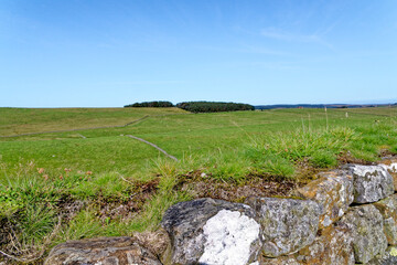 Hadrian's Wall - Northumberland - England United Kingdom