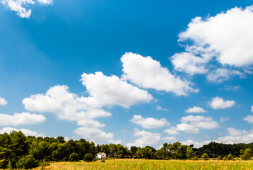 Fototapeta premium Natural landscape with blue sky and white clouds background