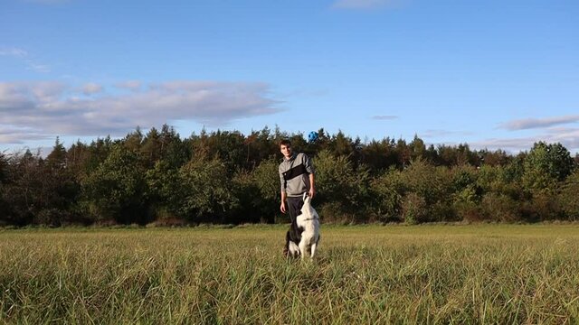 Slow Motion of Border Collie Jumping on the Field to Catch a Ball Thrown by Caucasian Young Man. Handsome Man in Hoodie Plays Outside with Black and White Dog.