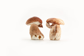 Fototapeta premium Beautiful fresh porcini mushrooms on white background isolated season healthy food 