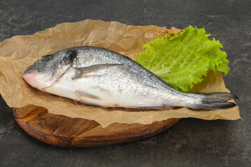 Raw Dorada fish  for cooking