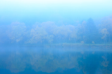 misty morning on the lake