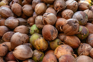 coconut, dried coconut brown, coconut fruit for background