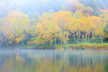 autumn landscape with fog and lake