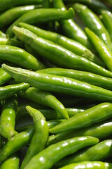 青唐辛子（タカノツメの若採り）