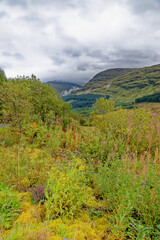 Fototapeta na wymiar Loch Tulla Viewpoint - Scotland - United Kingdom