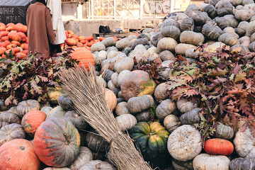 A lot decorative pumpkins and flowers at farm market. Thanksgiving holiday season and Halloween decor. Autumn harvers, fall natura consept
