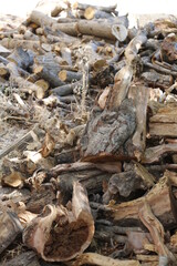 order firewood, preparation for the winter