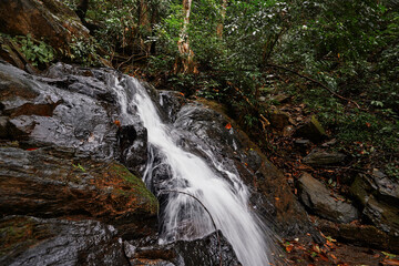 Obraz premium Tropical waterfall. Wet rock. Flowing running stream in green jungle.
