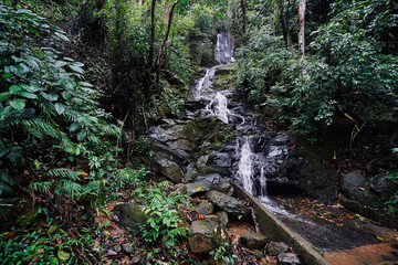 Tropical waterfall. Wet rock. Flowing running stream in green jungle.