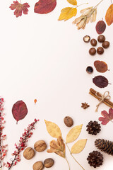 Autumn concept. Colored autumn leaves, cones and nuts on a light pink background with space for text