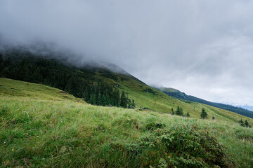 Beautiful mountains landscape with green hiils and meadows. Carpathians, Ukraine.