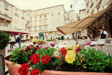 Pot with flowers on the street of old europian town.