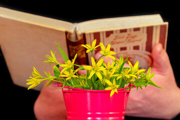 A man holds a book near a bouquet of yellow spring flowers
