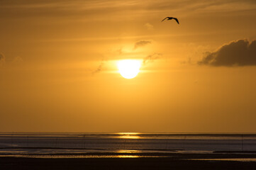 Golden sunset at the North Sea in Germany