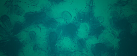 Fototapeta na wymiar abstract colorful grunge wall stone art background bg texture art dirt spray dust